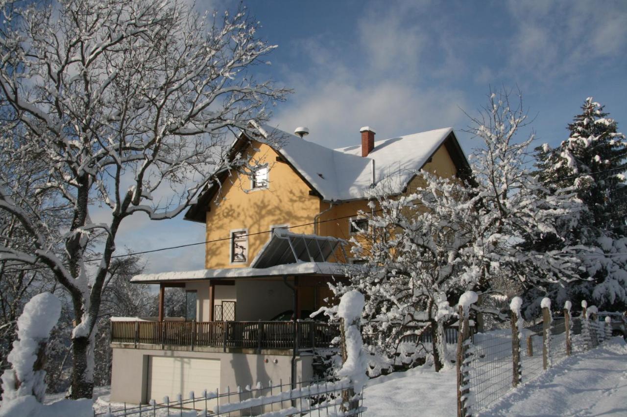 Alte Volksschule - Schual In Gradne Apartment Liebenfels Екстериор снимка