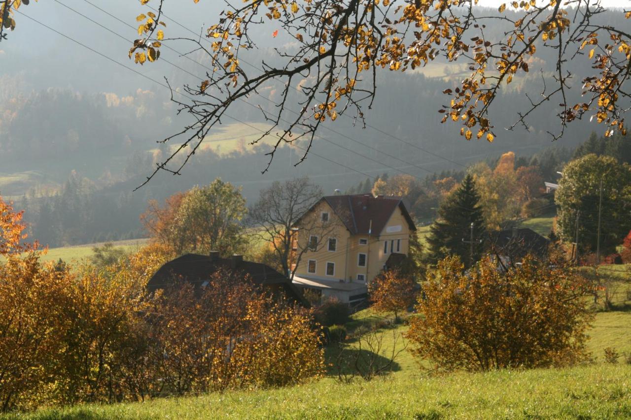 Alte Volksschule - Schual In Gradne Apartment Liebenfels Екстериор снимка